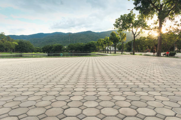 Best Brick Driveway Pavers  in Wheaton, MN