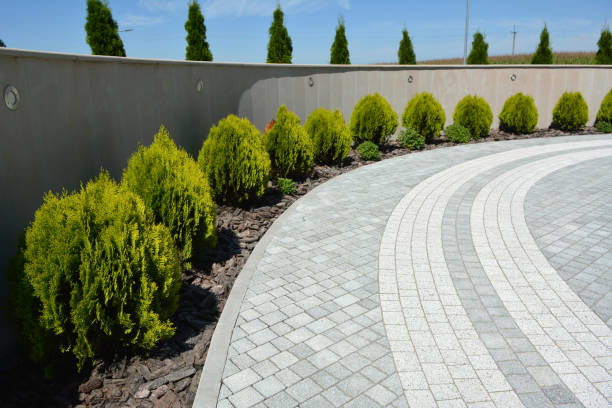 Best Driveway Pavers Cost  in Wheaton, MN