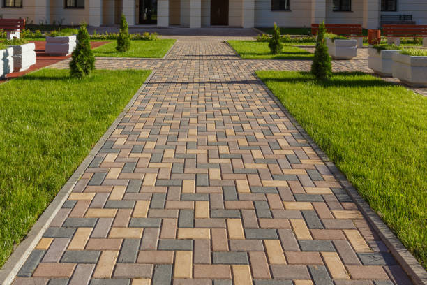 Best Driveway Pavers Near Me  in Wheaton, MN